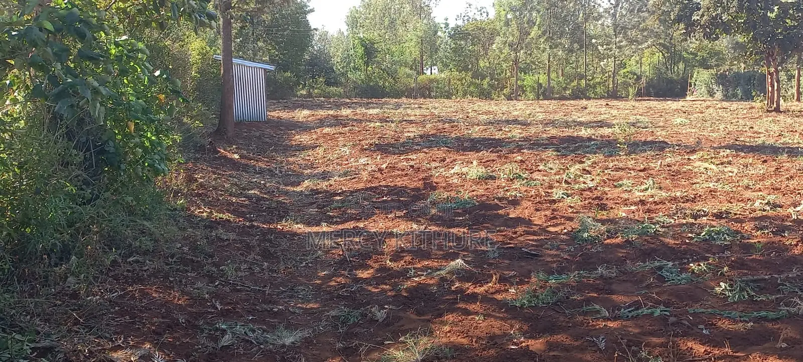 One and a Half Acre Agricultural Land