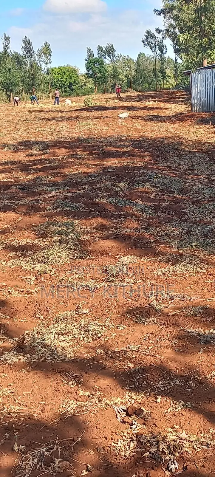 One and a Half Acre Agricultural Land