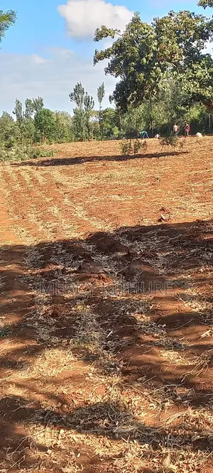 One and a Half Acre Agricultural Land