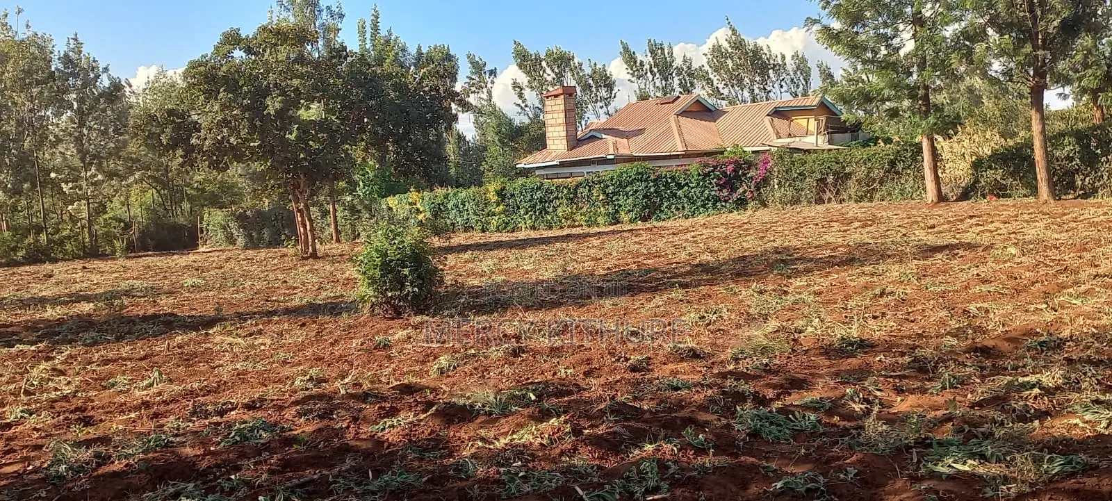 One and a Half Acre Agricultural Land