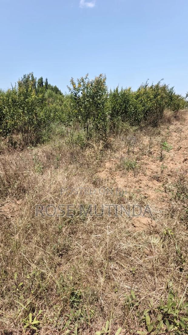 2acres at Wendano - main view