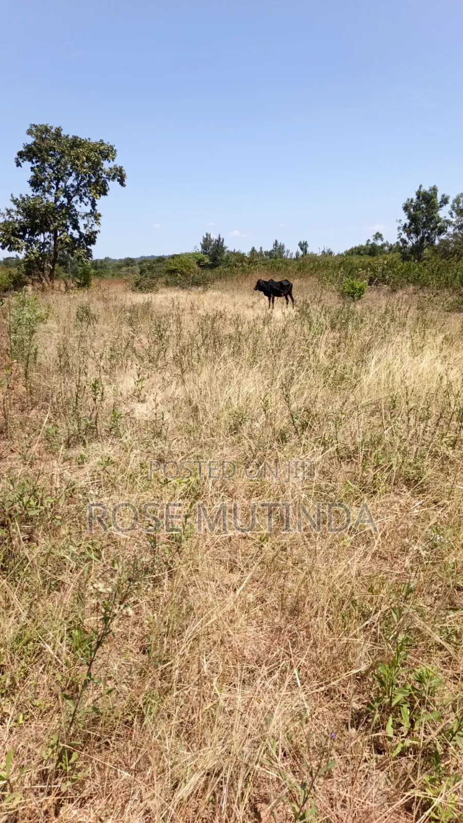2acres at Wendano