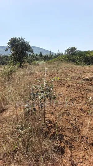 2acres at Wendano