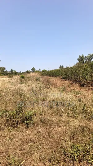 2acres at Wendano