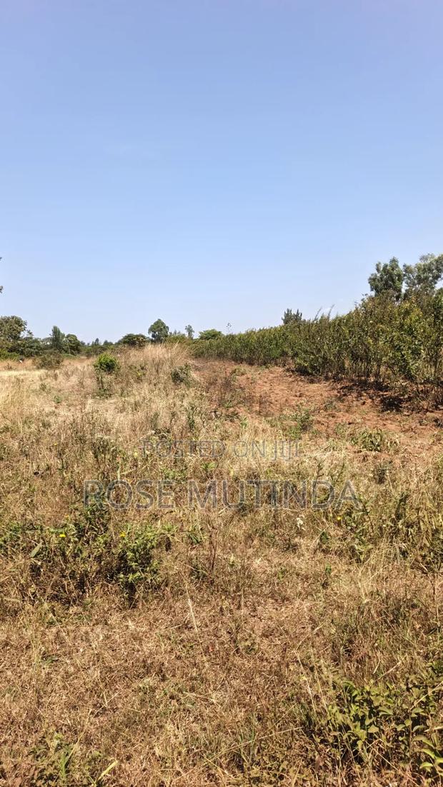 2acres at Wendano - thumbnail 4