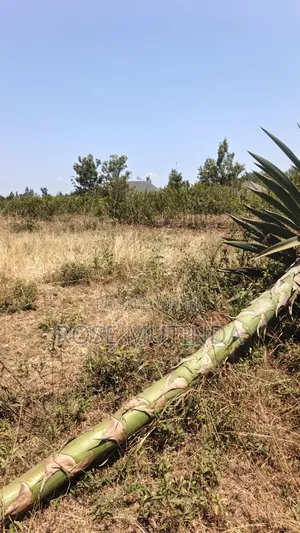 2acres at Wendano
