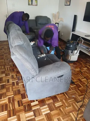 Reliable Professional Team for Couch Cleaning