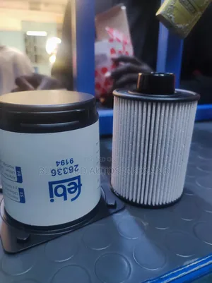 Peugeot Boxer Fuel Filter