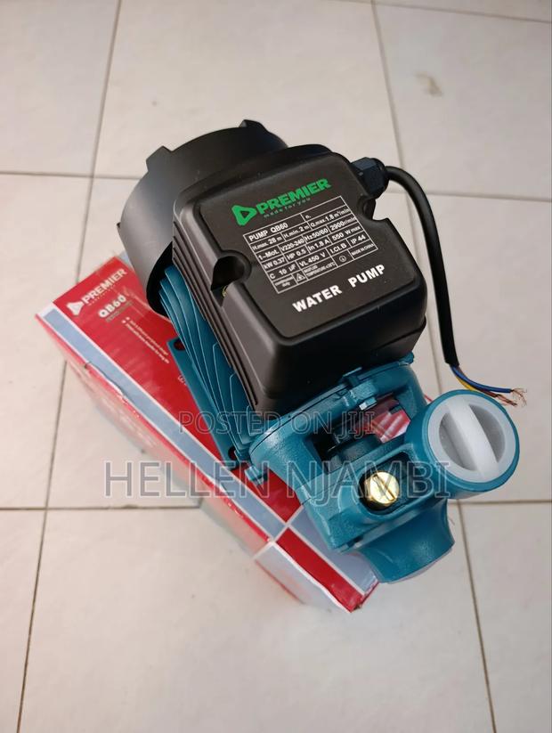 Premier QB60 Peripheral Pump - main view