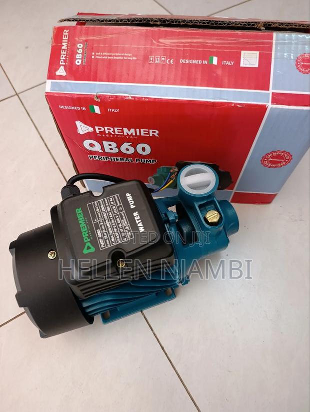 Premier QB60 Peripheral Pump - thumbnail 2