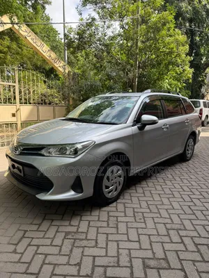 Toyota Corolla Fielder 2020 Silver