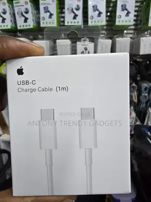 Apple USB-C Cable 1M for MacBook iPad Fast Charging