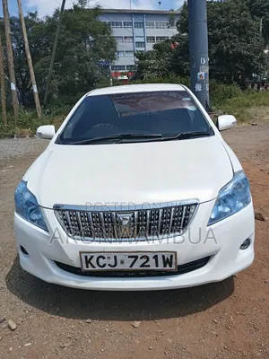Toyota Premio 2009 White