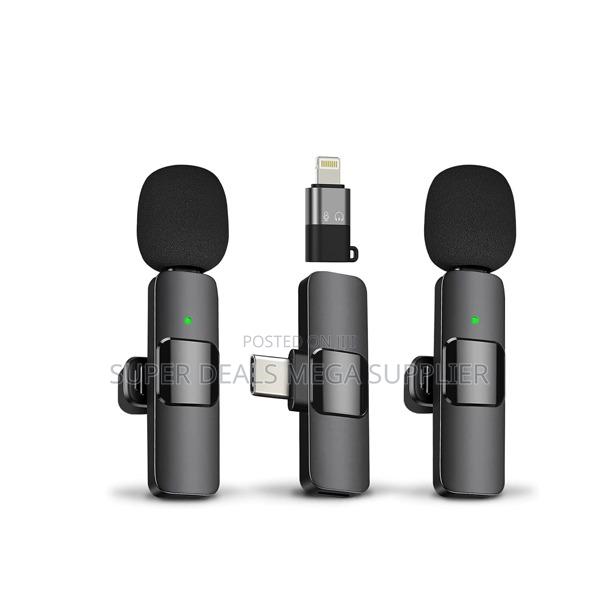 Rechargeable Mini Lapel Lavalier Dual Wireless Microphone