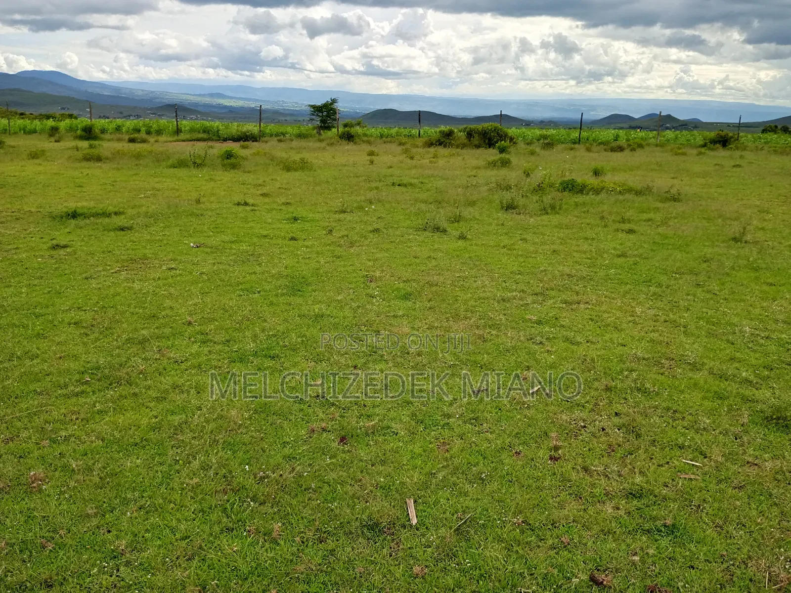Plots and Land for Sale