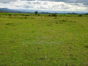 Plots and Land for Sale