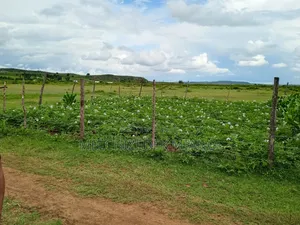 Plots and Land for Sale