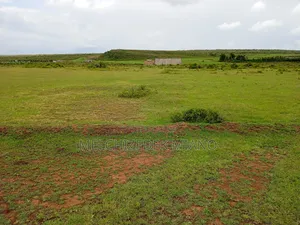 Plots and Land for Sale