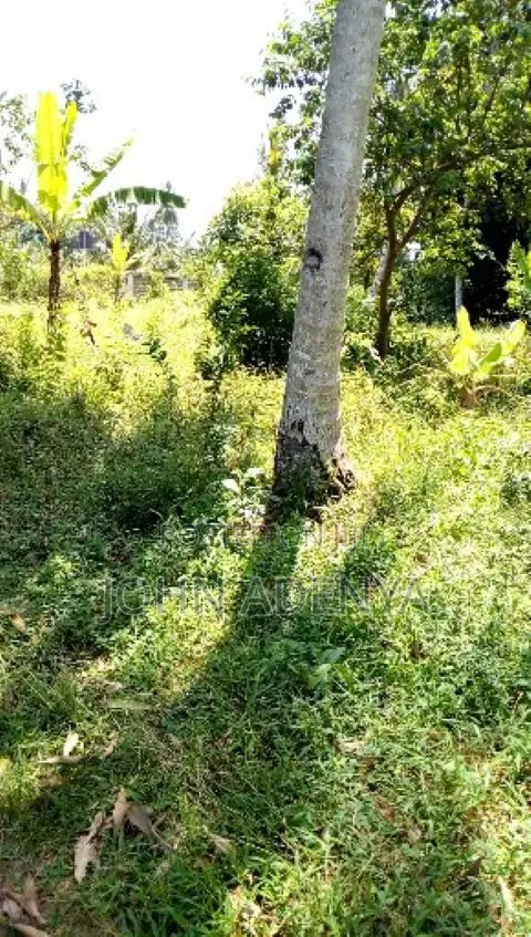 50/100 Plot for Sale in Mtwapa Municipality