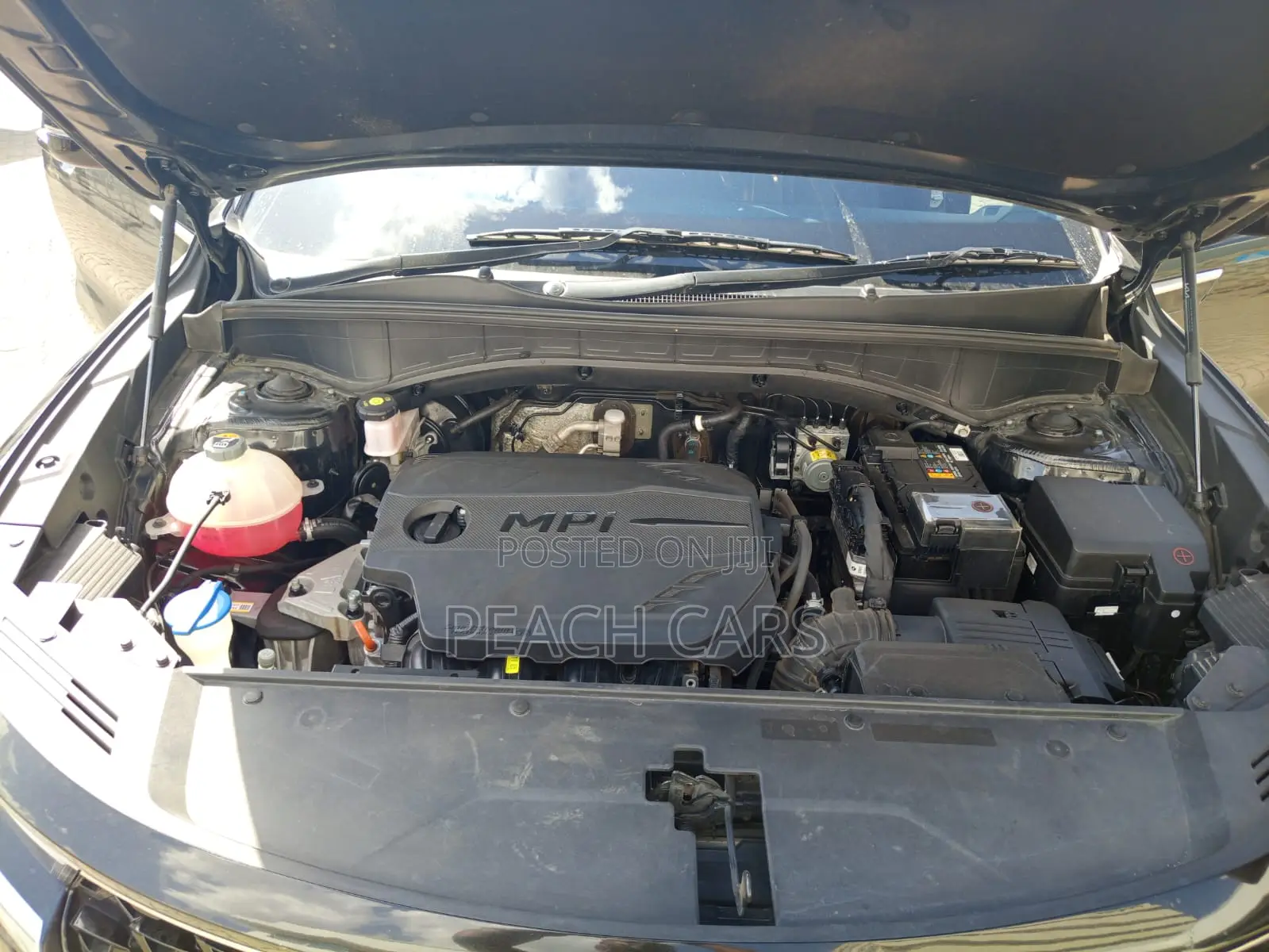 Kia Sorento S 2024 Black