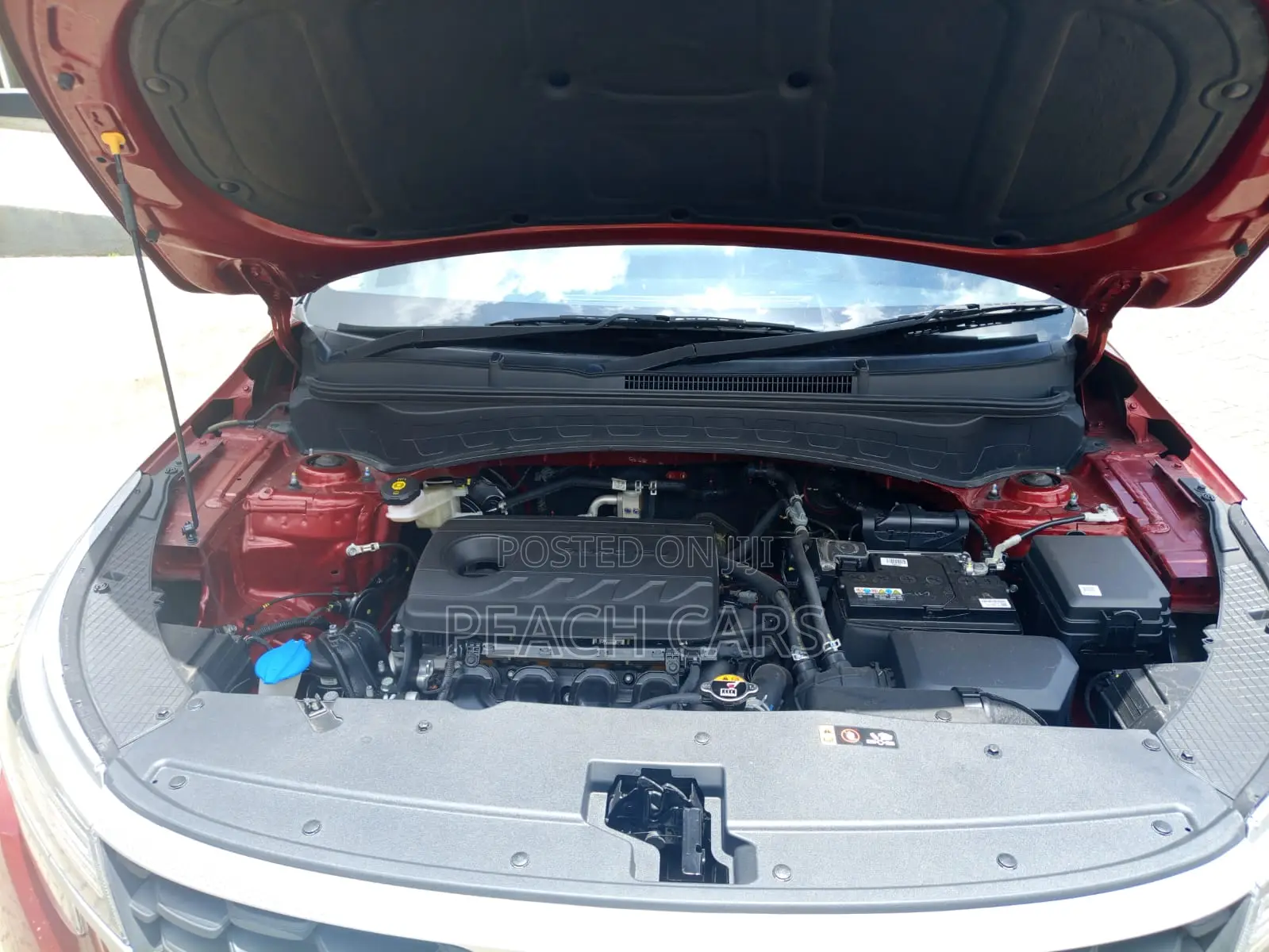 Kia Seltos S 2023 Red