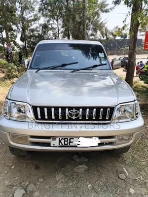 Toyota Land Cruiser Prado 2007 Silver