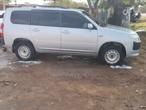 Toyota Probox 1.5 DX 4WD 2018 Silver
