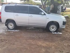 Toyota Probox 1.5 DX 4WD 2018 Silver