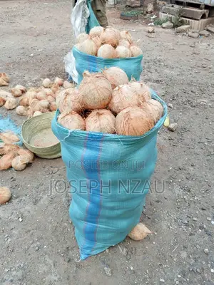 Coconuts Ready for Sell Dm if Interested