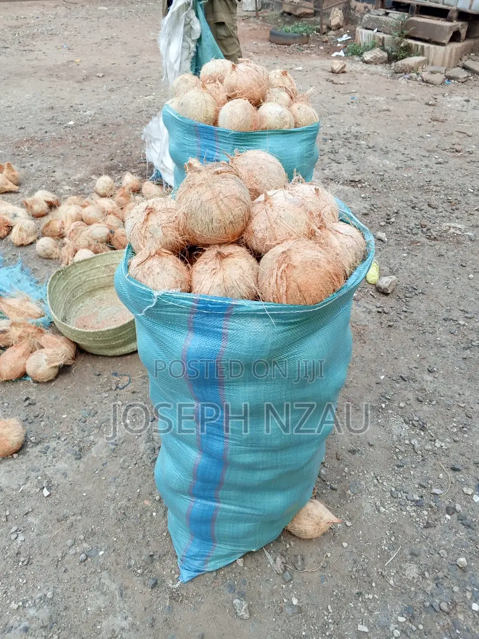 Coconuts Ready for Sell Dm if Interested