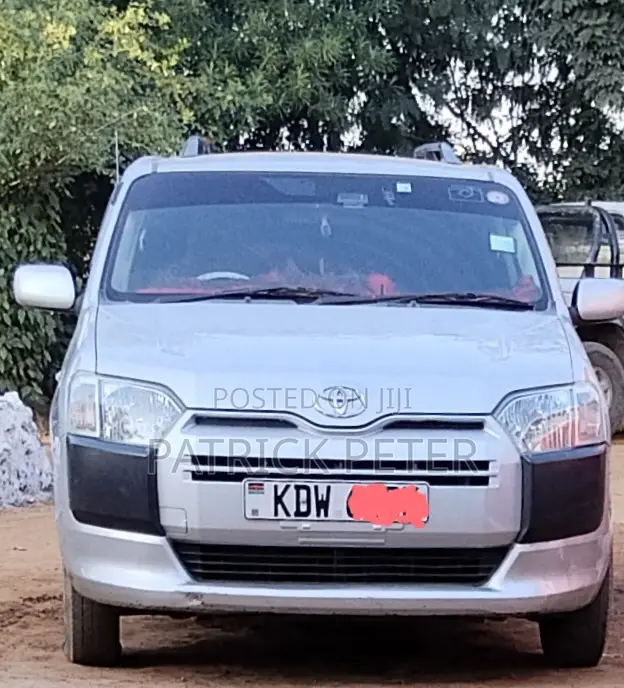 Toyota Probox 1.5 DX 4WD 2018 Silver