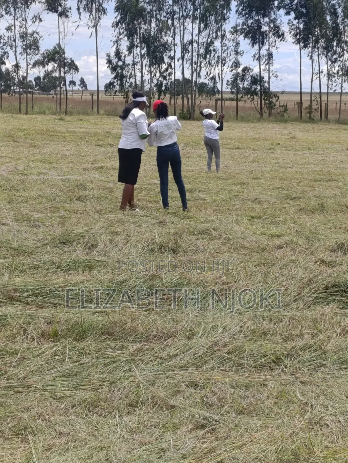 Land Selling Within Mt.Kenya Regions