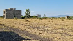 Jujafarm 50X100 Plots