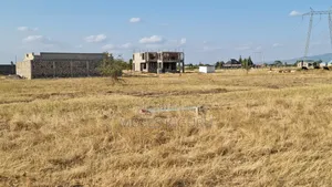 Jujafarm 50X100 Plots