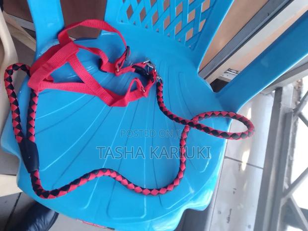 Quality Dog Leash Medium Size - thumbnail 2