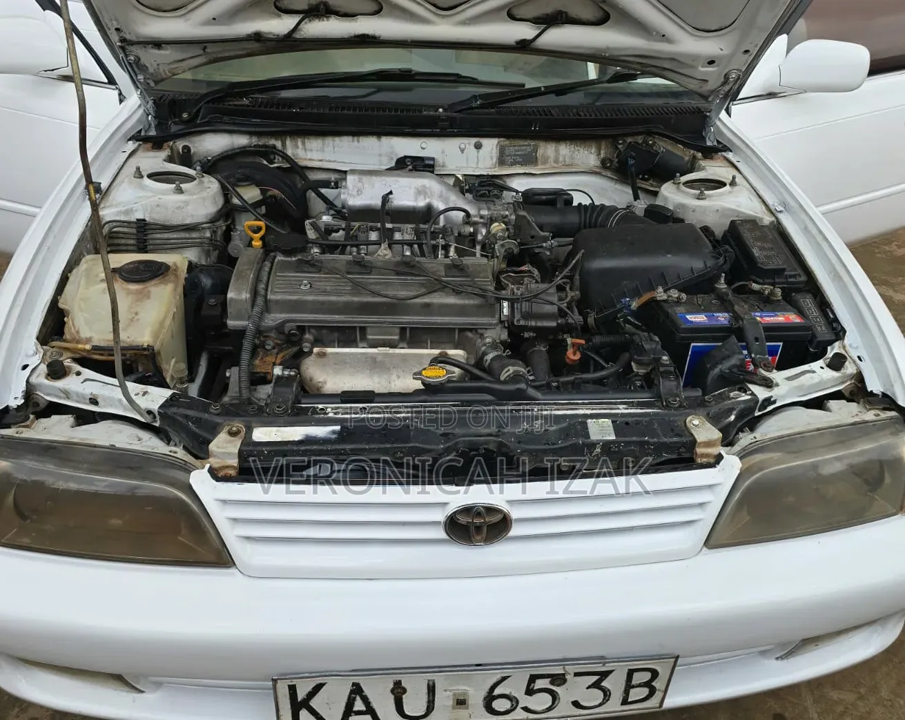 Toyota Corolla 1998 White