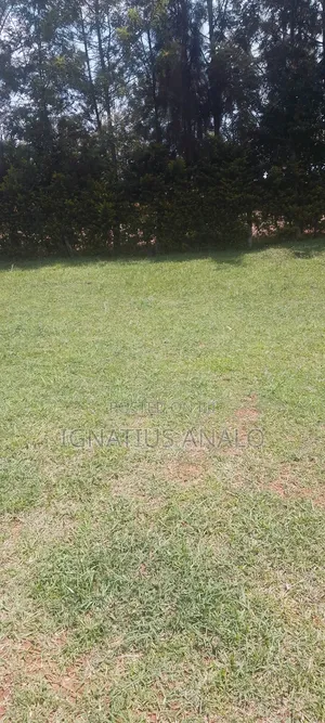 150 by 150 Piece of Land in Mukumu Ilala Area