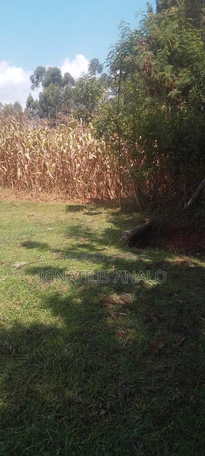 150 by 150 Piece of Land in Mukumu Ilala Area