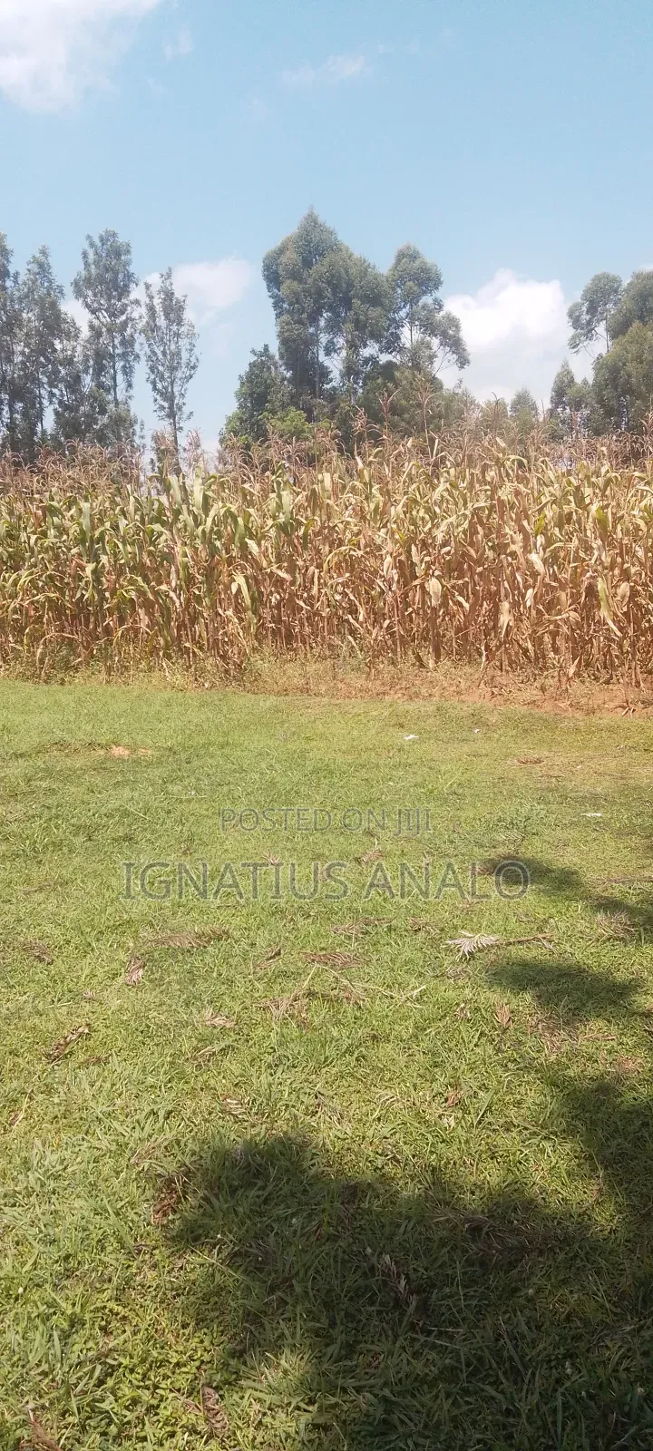 150 by 150 Piece of Land in Mukumu Ilala Area