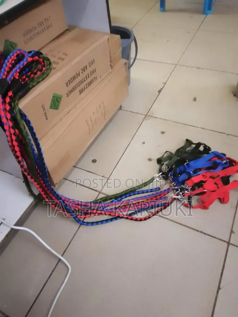 Multicoloured Dog Leash