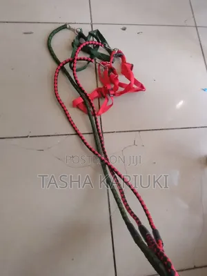 Multicoloured Dog Leash