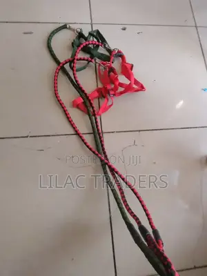Multicoloured Dog Leash