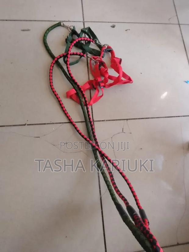 Multicoloured Dog Leash - thumbnail 2