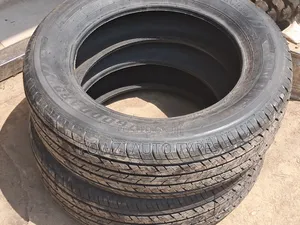 225/60r17 Goddard