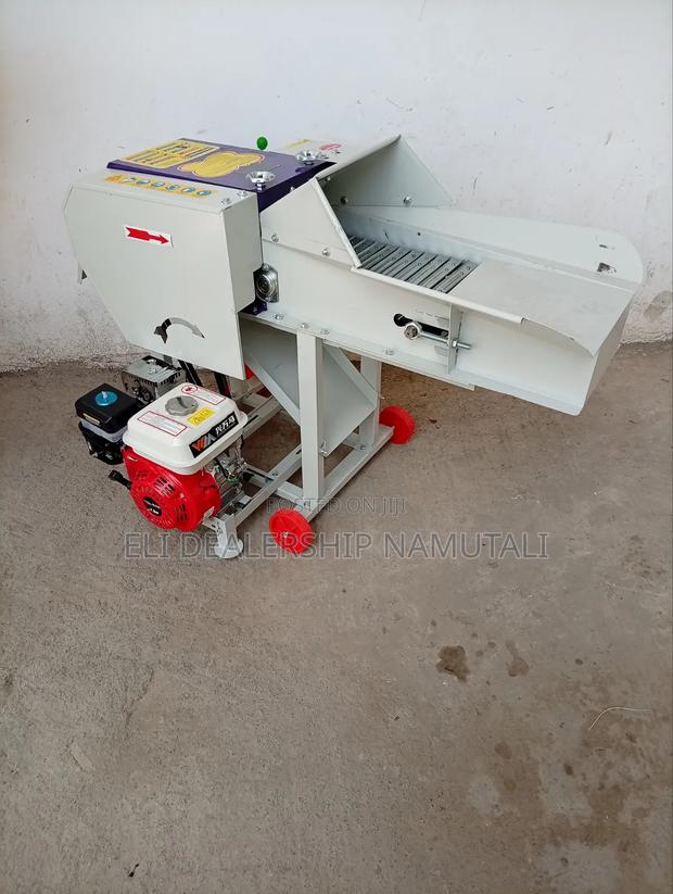 Heavy Duty Design 600kg/Hr Chaff Cutter for Livestock Feed - main view