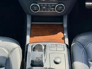 Mercedes-Benz GLS-Class 2019 Black
