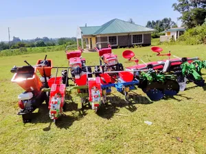 Walking Tractor for Sale