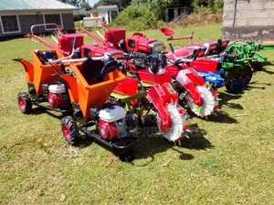 Walking Tractor for Sale