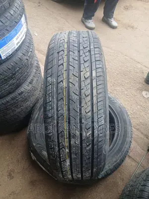 225/55r19 Goddard Tires