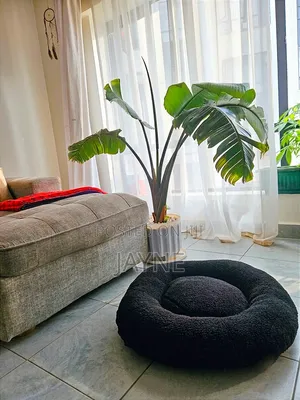 Donut Dog / Cat Bed